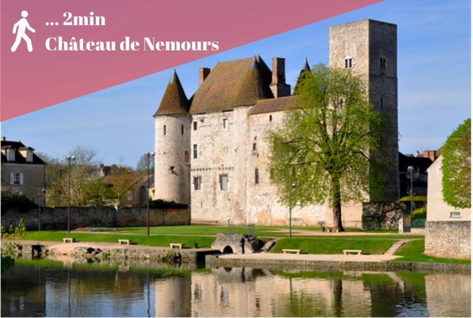Appart Cosy Renove Avec Ac Hypercentre Nemours Exteriér fotografie